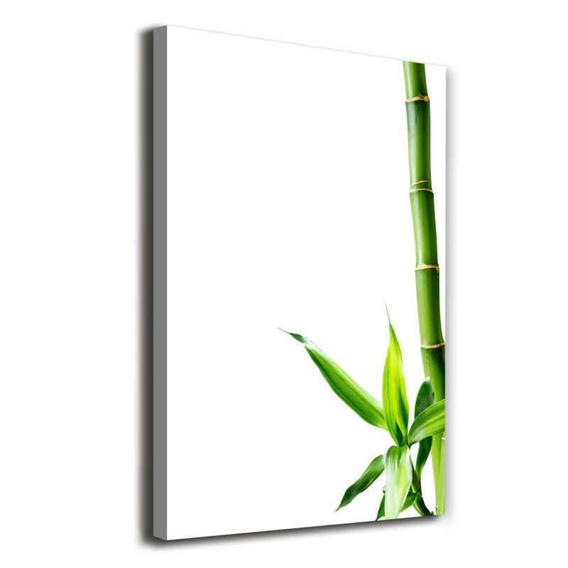 Bamboo - Wrapped Canvas Print