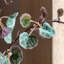 Faux Stem Twig Foliage Green 1190mm (12pk)