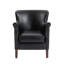 Puttney Armchair-124434377