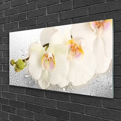 Glass Print Wall Art 100X50cm Image Printed On Glass Decorative Wall Picture Behind Toughened / Tempered Safety Real Glass For Kitchen & Living Room Theme: Flowers Floral