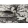 Brantly Floral Indoor Rug