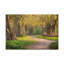 Arbre, chemin vert, forêt, nature, photographie sur toile, art mural