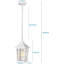Luminaire suspendu d'extérieur 12,2 po câblé-100015661