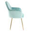 Taraji 46cm H Velvet Upholstered Metal Armchair-113191229-113191230