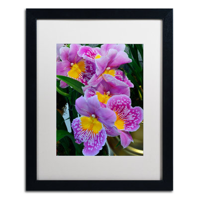 « happy orchidées » par kurt shaffer, reproduction de photo encadrée