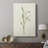 Olive Leaves I -Gallery Wrapped Cavas-1347851419
