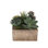 Faux Succulent in Square Etched Pot