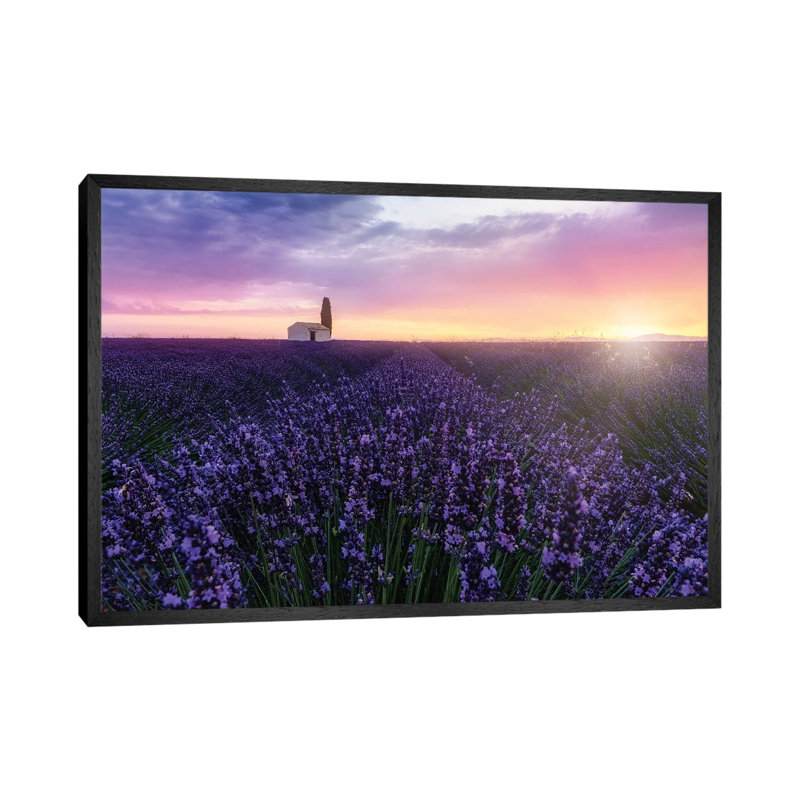 Bees At Sunrise by Fabio Antenore - Print on Canvas, Black Framed, 101.6 cm H x 66.04 cm W