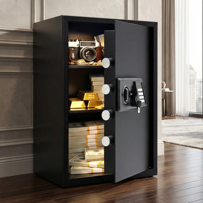 File Safe Electronic and Key