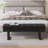 Donne 52'' Wide Leather upholstered Storage Bench-2095878192