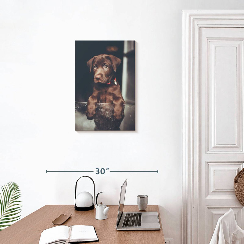 Brampt Chocolate Labrador Puppy, 24" H x 16" W