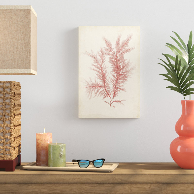 Coral Sea Feather II - Wrapped Canvas Painting Print, Wrapped Canvas, 46cm H x 30cm W