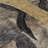 Premium Machine Washable Mayfield AMF2191 abstract Rug-699565695-699565689