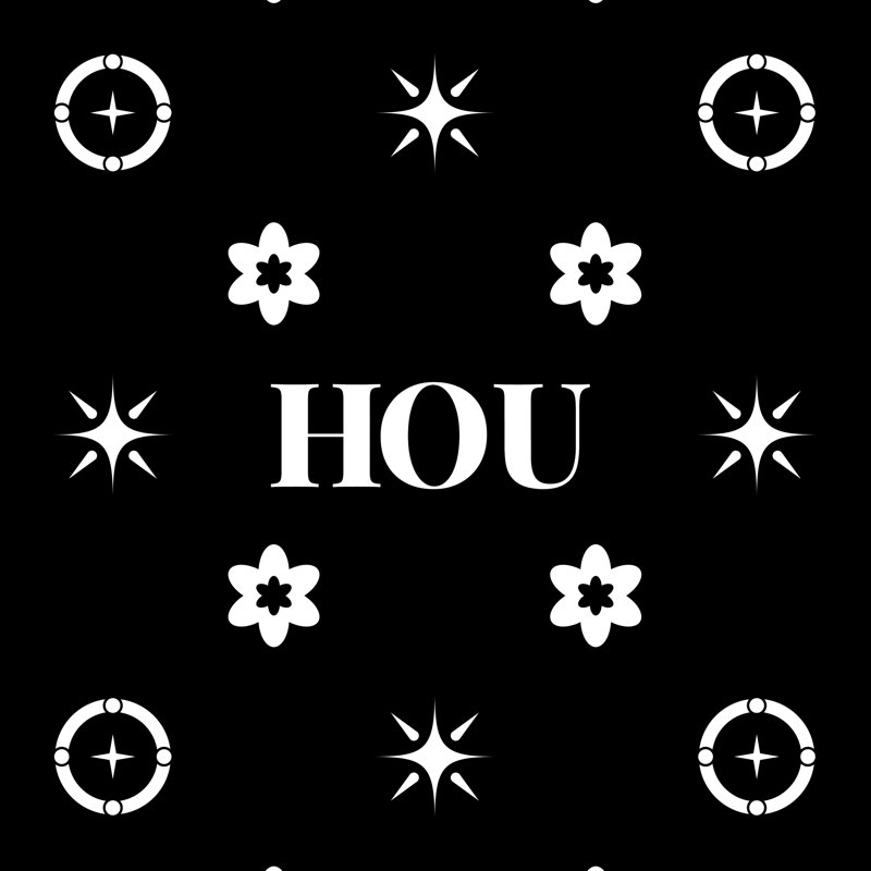 Coussin en polyester filé 25 pouces x 18 pouces Houston, Noir / blanc