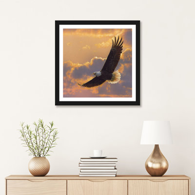 " Soaring Spirit - Bald Eagle " by Collin Bogle