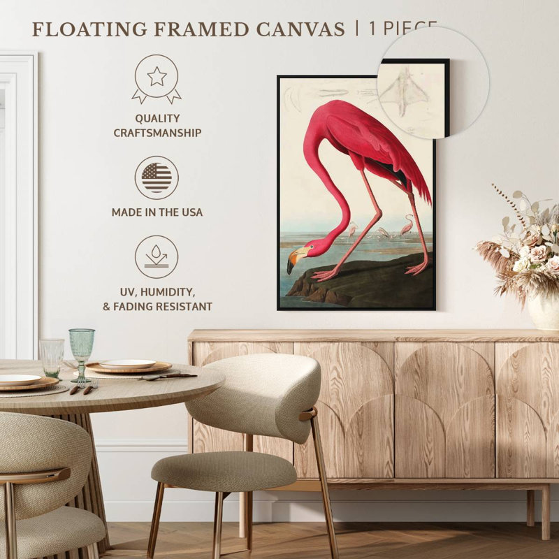 Flamant américain, Cadre flottant noir, 21 po x 31 po