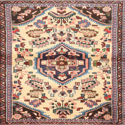 Oriental Indoor Rug
