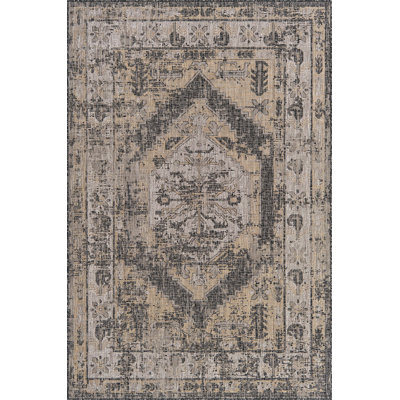 Outdoor Nile Area Rug Char Color