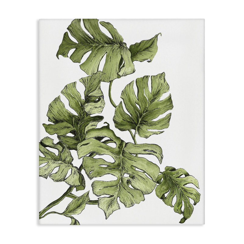 «Falling Monstera Leaves», art mural sur toile par Dominique Alyse Studios, H 20 po x l 16 po