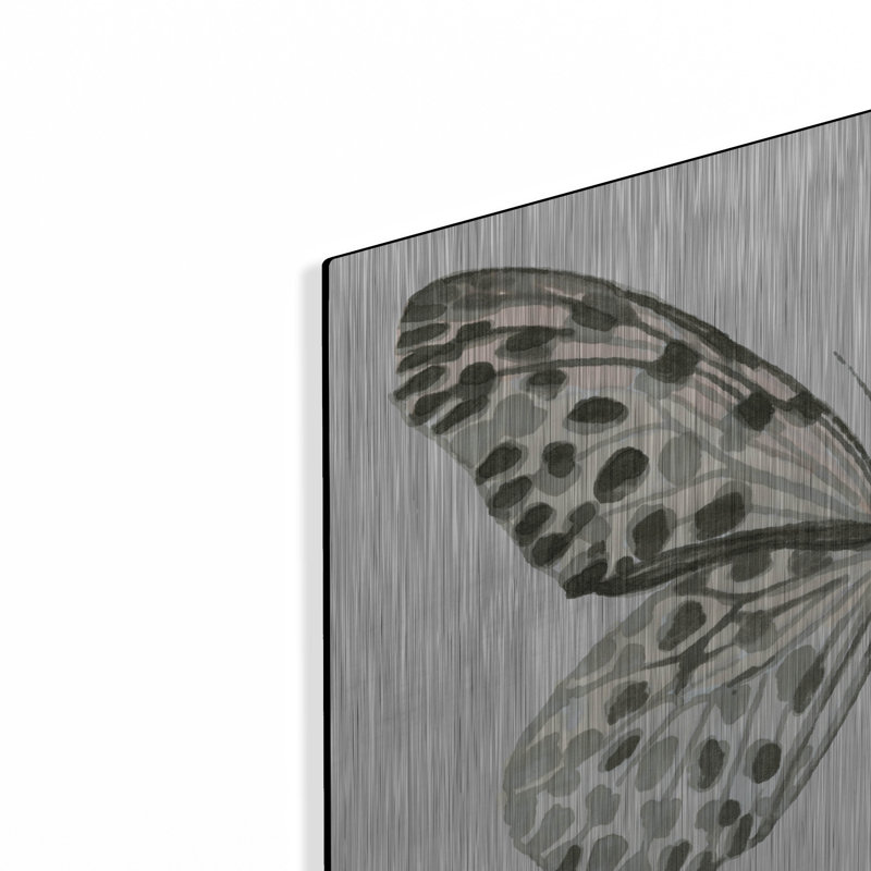 "Butterfly 3" par Stellar Design Studio, H 16 po x l 24 po