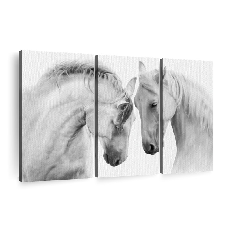 Couple de chevaux blancs sur toile, ensemble de 3 pièces, H 20 po x l 33 po x P 1,25 po