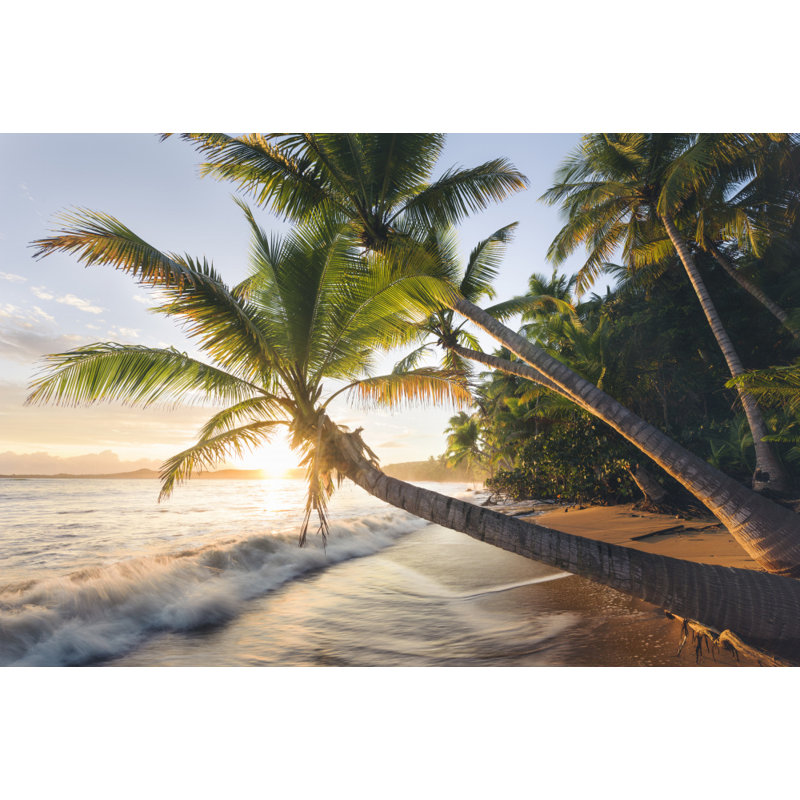 Wrapped Canvas Print, 50.8 cm H x 76.2 cm W