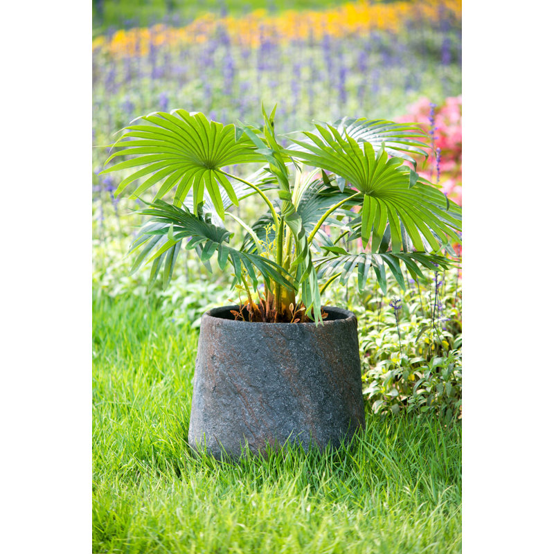 Cement Planter Large, Indoor / Outdoor Garden Functional Decor, 11.8" H x 7.5" W x 7.5" D