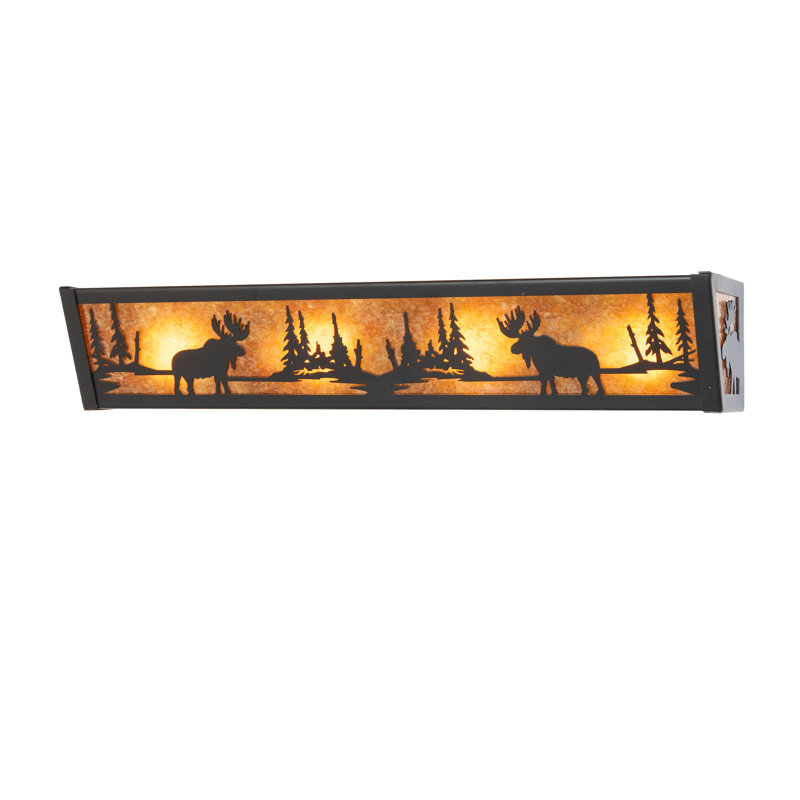 4 - Light Vanity Light