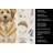 Sandy Leonberger Coffee Bar Kitchen Towel-1168063394
