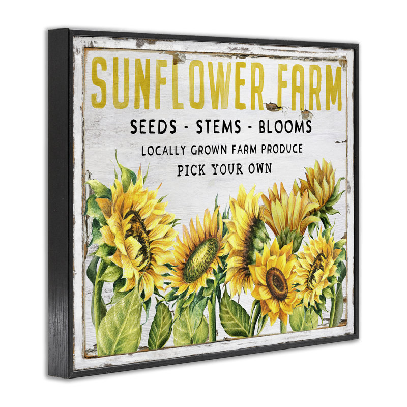 Art de giclée de graines de tournesol antique par Creatif Belle, H 11 po x l 14 po, Giclée encadrée noir minuit
