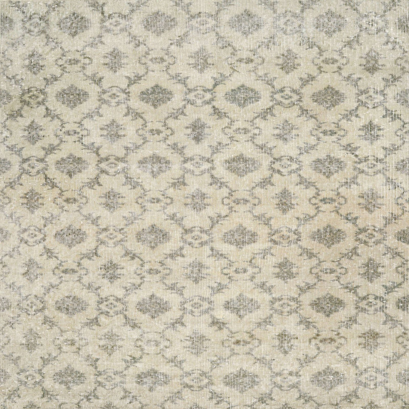 Cleres Oriental Indoor Rug, Square 4'