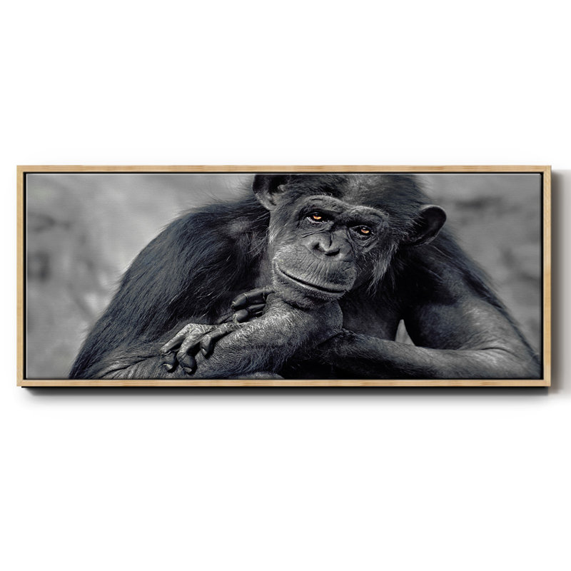 Captivated- Framed Canvas, 20" H x 50" W