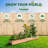Kendriana Wood Raised Garden Bed-807390884