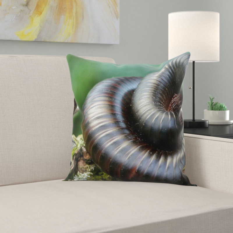 Coussin centipedes géant