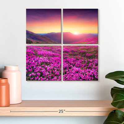 Alvord Rhododendron Flower Field