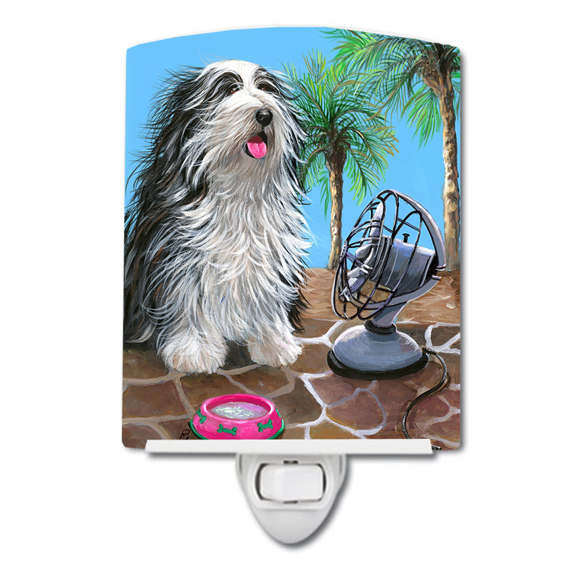 Veilleuse Westie, Colley barbu saison estivale