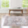 Nienke Oriental Indoor Rug