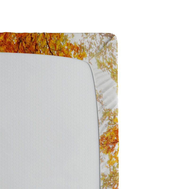 Ensemble de 2 draps-housse Ambesonne, Drap-housse de taille double