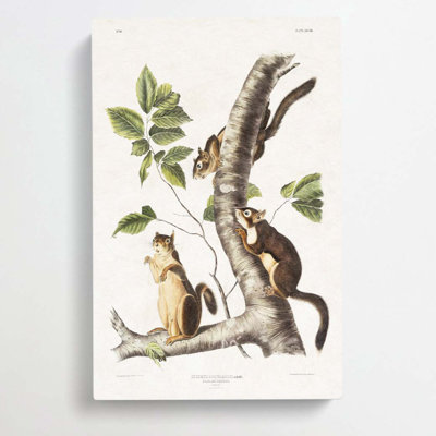 Douglasss Squirrels by Kawanabe Kyosai - Wrapped Canvas