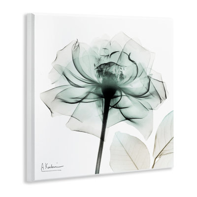 Plaque murale fleur transparente, design par Albert Koetsier