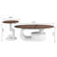 Ensemble de 2 tables basses gigognes-117204450-117204451