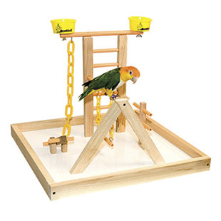 Terrain de bois acrobird