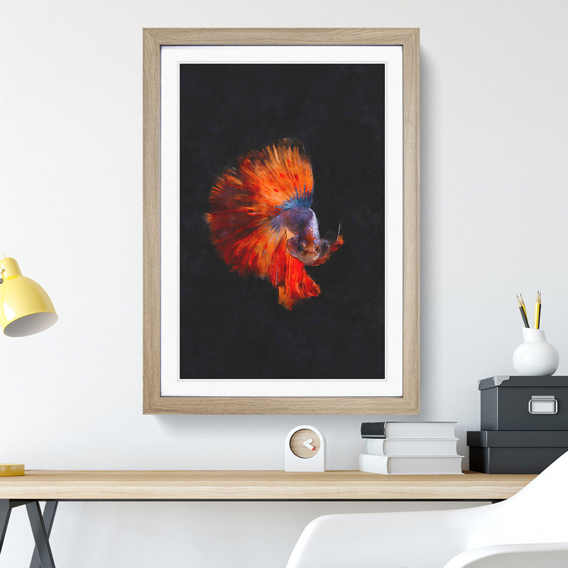 The Siamese Fighting Fish - Framed Print, 36cm H x 27cm W x 2cm D, Oak Framed