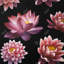 Motif de fleur de lotus - imprimé floral mat asiatique-1395216815-1395216812