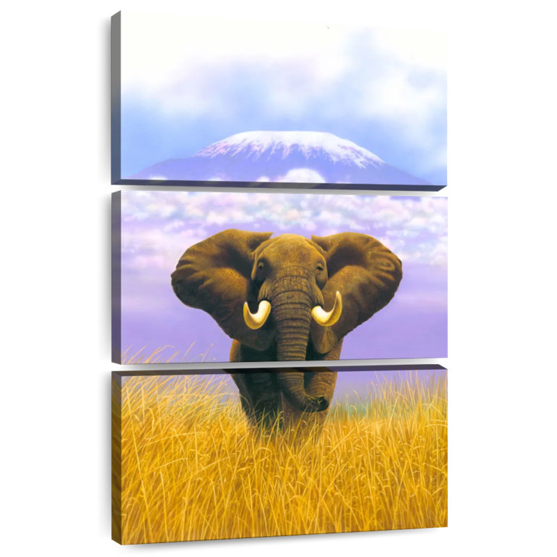 Brampt Elephant At Table Mountain