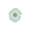 Topsy Turvy Succulent Wall Art-1124555450