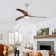 Cesar Ceiling Fan with LED Light, Remote Control & Reversible Motor