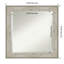 Miroir d'appoint mural Tunley-1628520448