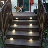 Foreala Brown Low Voltage Solar Powered Integrated LED Step Light Pack &  Reviews