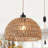 Derica 1 - Light 13.78in. Plug-In Woven Rattan Dome Pendant with Rope Accents Boho Style, 14.76 feet Cord-1127947594-1104480569